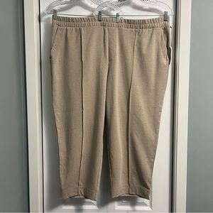 A NEW DAY NWT Stretch Comfy oversized Pants plus size 3X oatmeal coloured